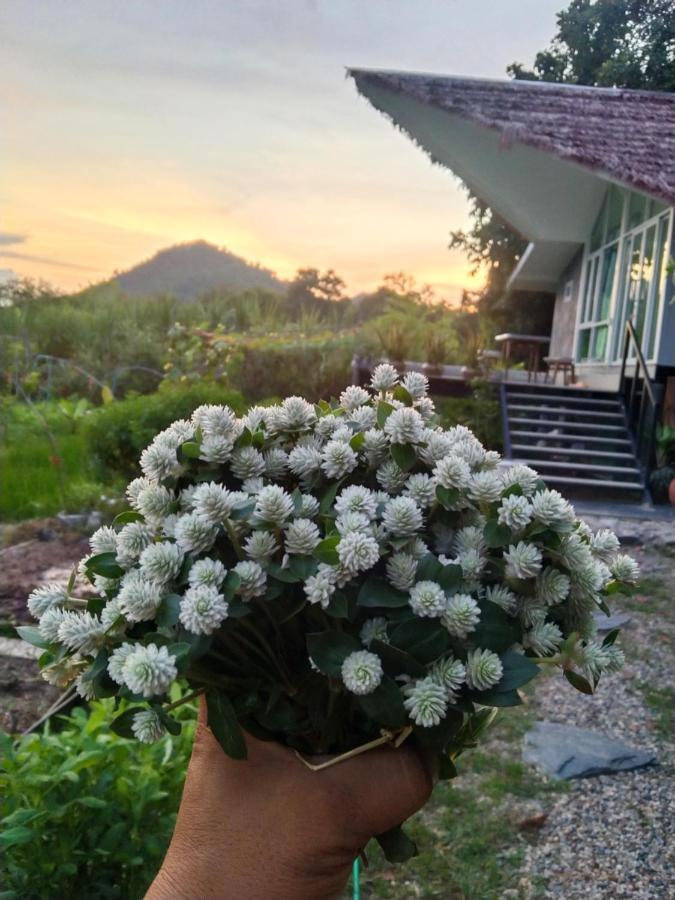 Royal Mountain View Rumah liburan
